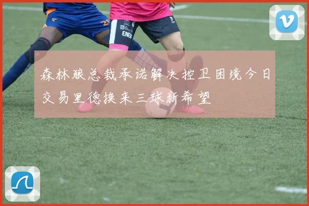 森林狼总裁承诺解决控卫困境今日交易里德换来三球新希望